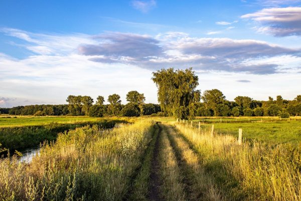 Ein Feldweg symbolisiert Kirsikka Lansmanns Ziel den ländlichen Raum in Gifhorn zu stärken.